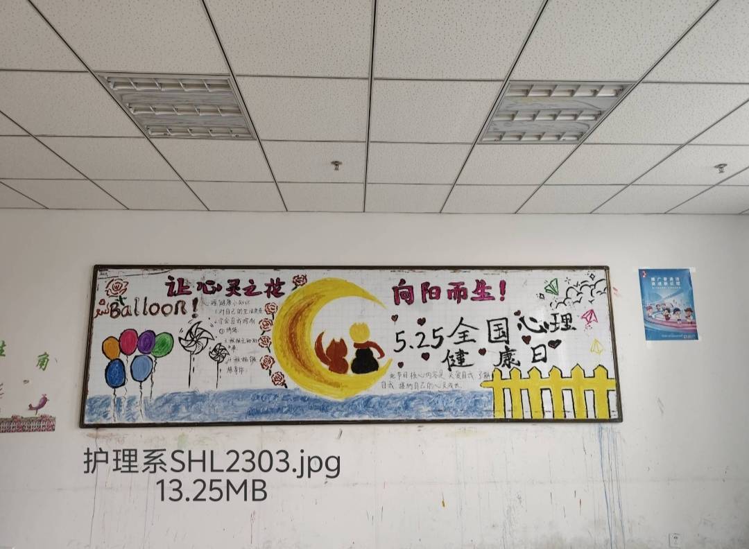 175C6 175C6